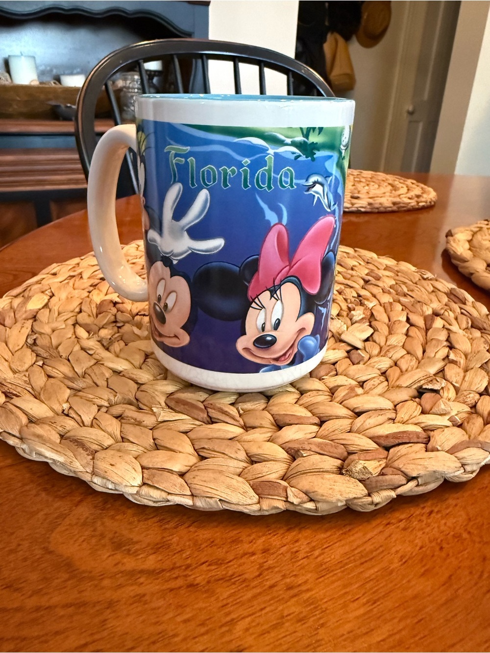 Disney Mickey & Minnie Florida Ceramic Mug - Blue, Pink, Green